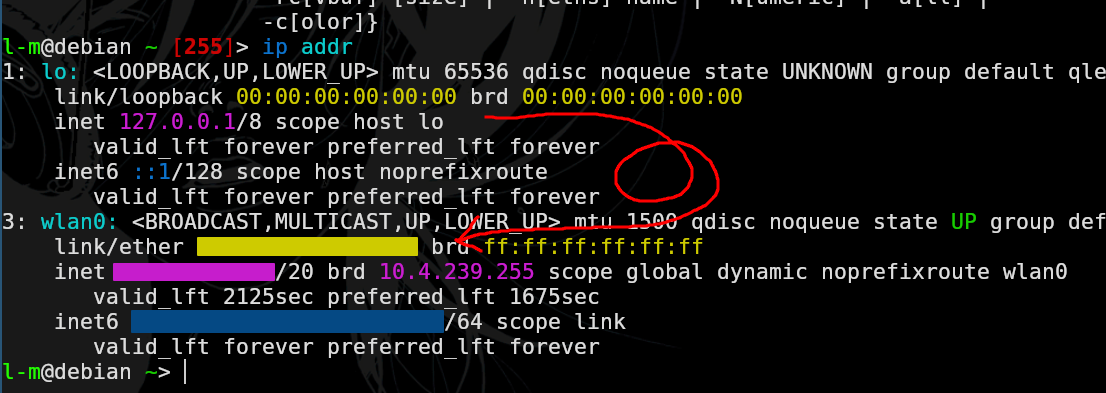 Display of ip addr